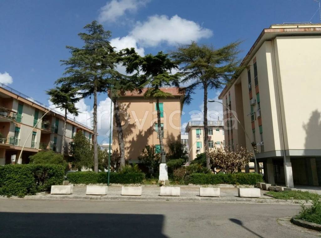 appartamento in vendita a Maglie