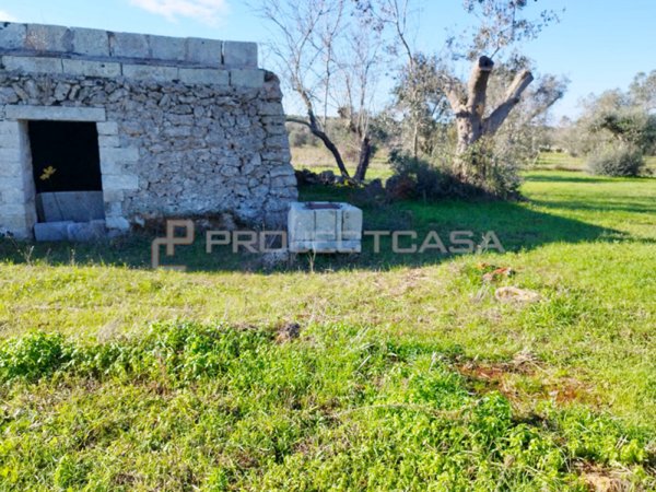 terreno agricolo in vendita a Maglie