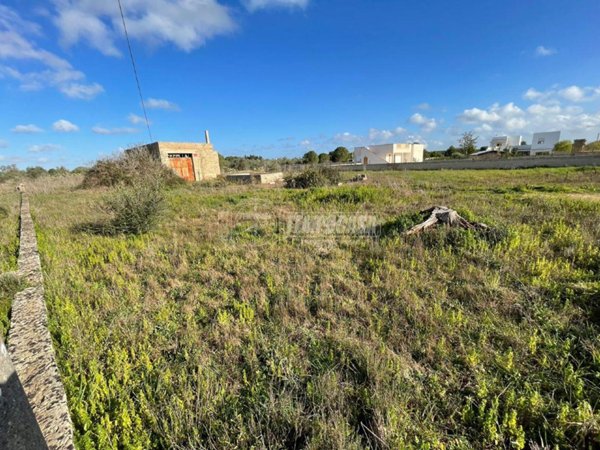 terreno agricolo in vendita a Maglie