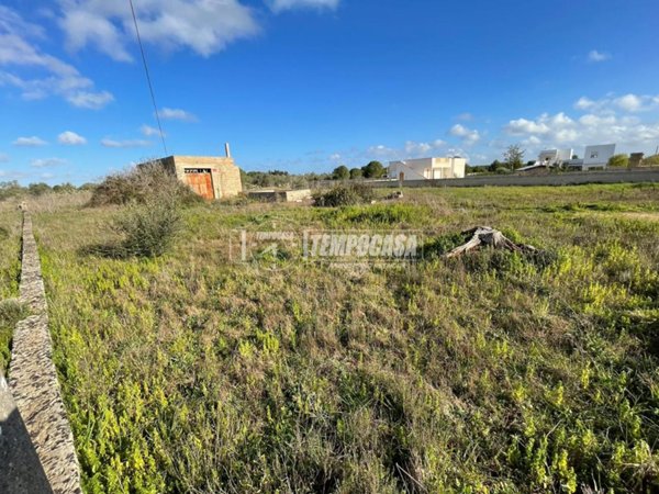 terreno agricolo in vendita a Maglie