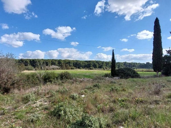 intera palazzina in vendita a Maglie