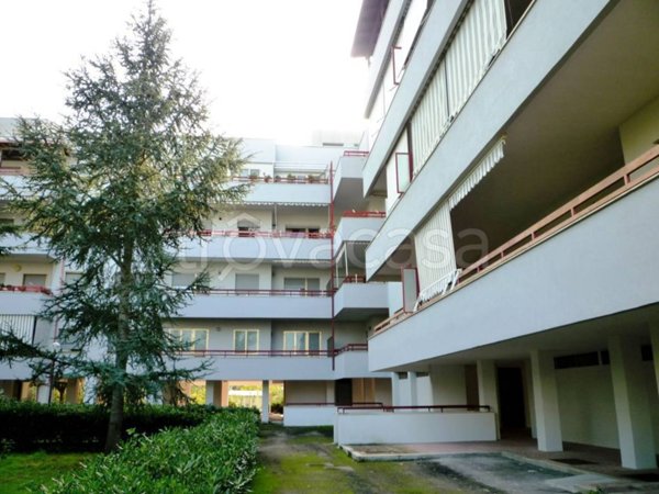 appartamento in vendita a Maglie