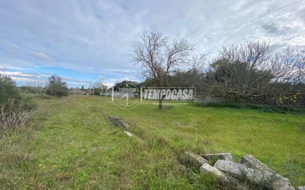 terreno agricolo in vendita a Maglie