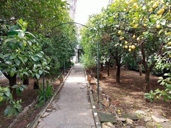 casa indipendente in vendita a Maglie
