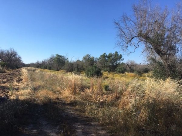 appartamento in vendita a Maglie