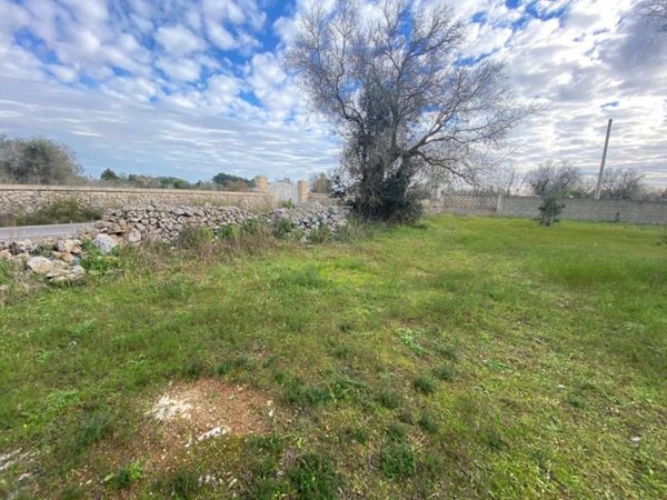 terreno agricolo in vendita a Maglie