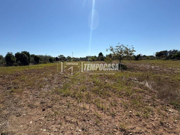 terreno agricolo in vendita a Maglie
