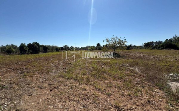 casa indipendente in vendita a Maglie