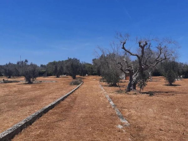 terreno agricolo in vendita a Maglie