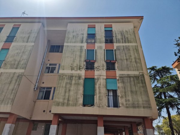 appartamento in vendita a Maglie