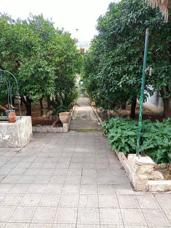 casa indipendente in vendita a Maglie