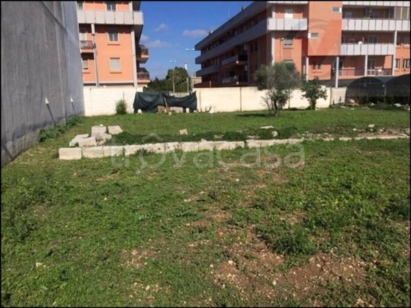 casa indipendente in vendita a Maglie