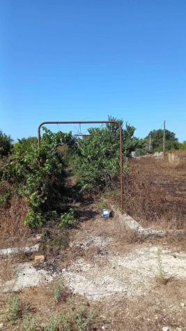 terreno agricolo in vendita a Maglie in zona Morigino