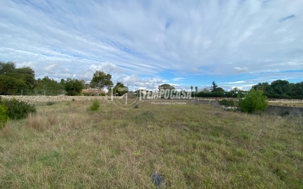 casa indipendente in vendita a Maglie