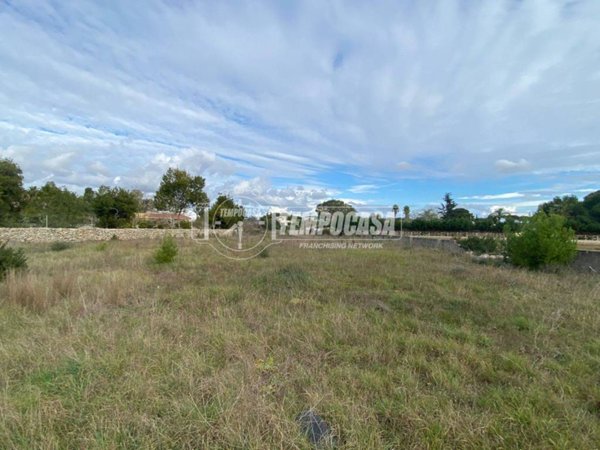 terreno agricolo in vendita a Maglie