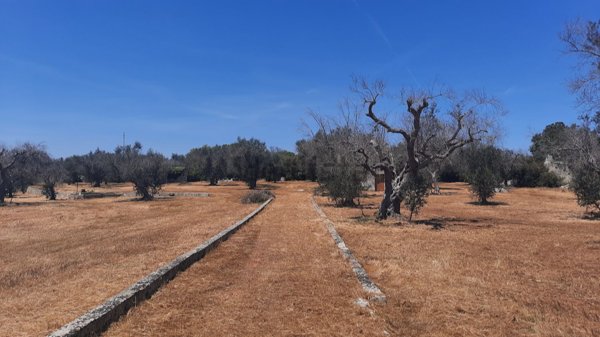 casa indipendente in vendita a Maglie