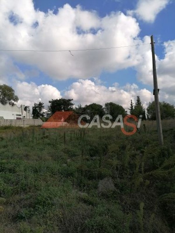 terreno agricolo in vendita a Maglie