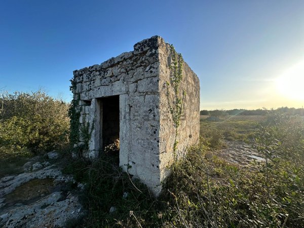 terreno agricolo in vendita a Maglie