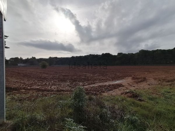 terreno agricolo in vendita a Maglie