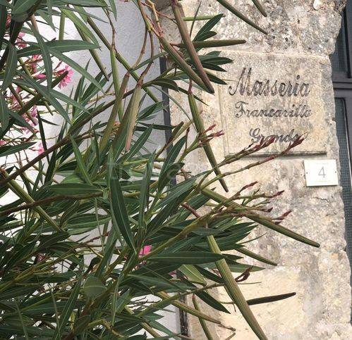 casa indipendente in vendita a Maglie