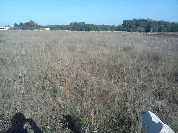 casa indipendente in vendita a Maglie