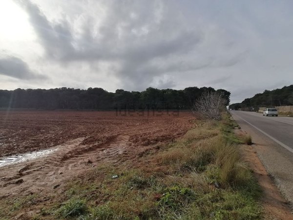 terreno agricolo in vendita a Maglie
