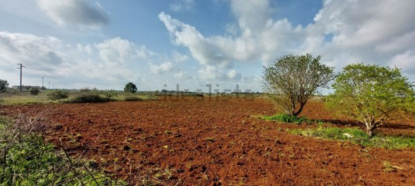 terreno agricolo in vendita a Maglie