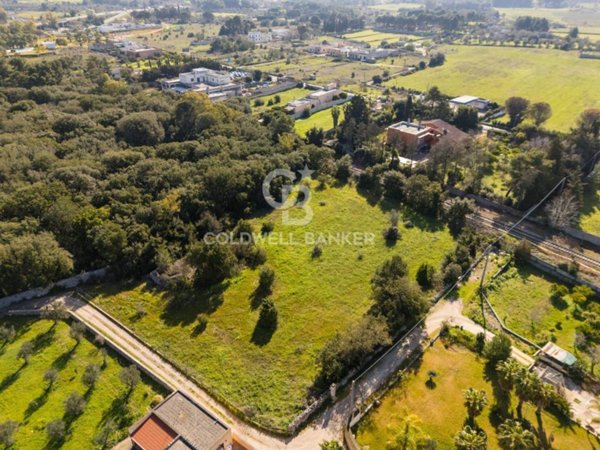 terreno agricolo in vendita a Maglie