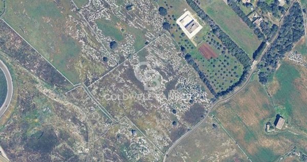 terreno agricolo in vendita a Maglie