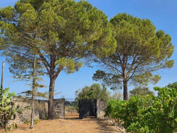 casa indipendente in vendita a Maglie