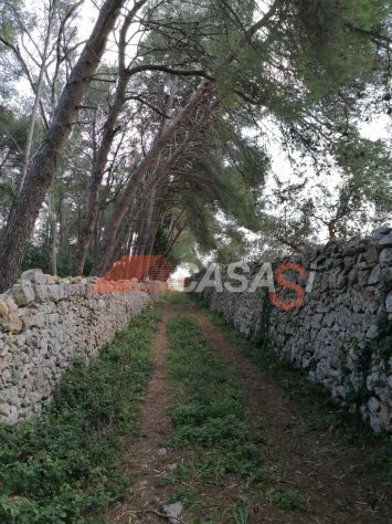terreno agricolo in vendita a Maglie