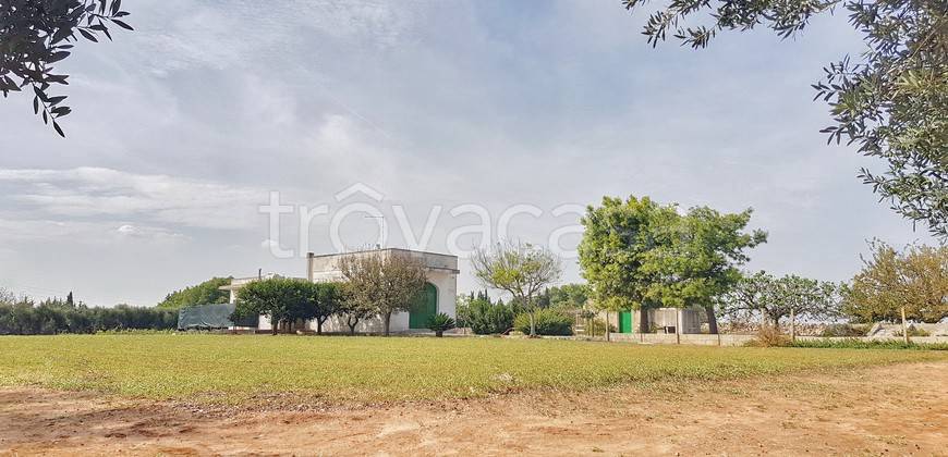 casa indipendente in vendita a Martano