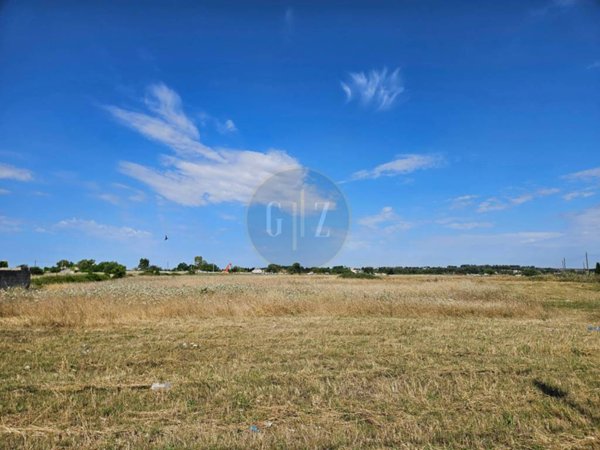 terreno agricolo in vendita a Martano