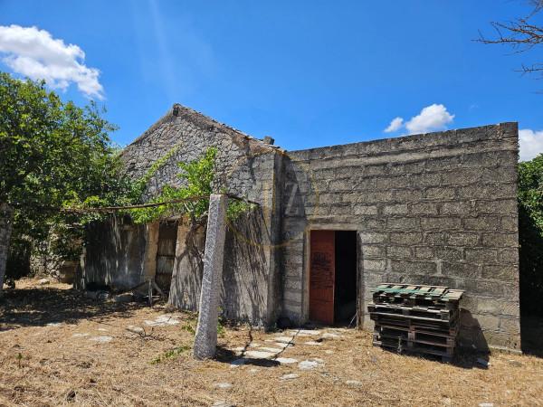 negozio in vendita a Martano