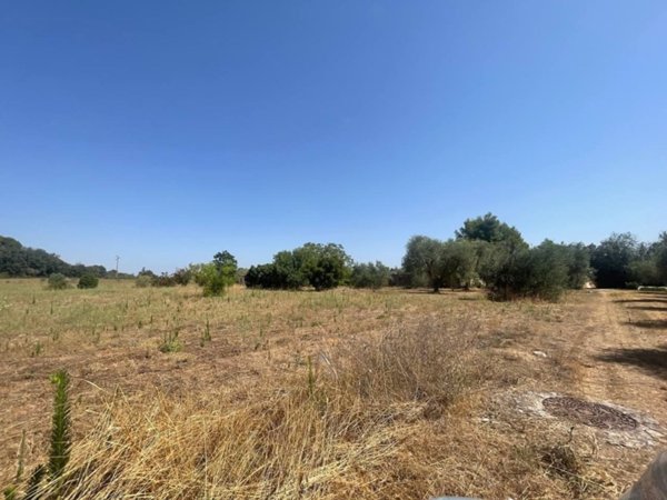 casa indipendente in vendita a Martignano