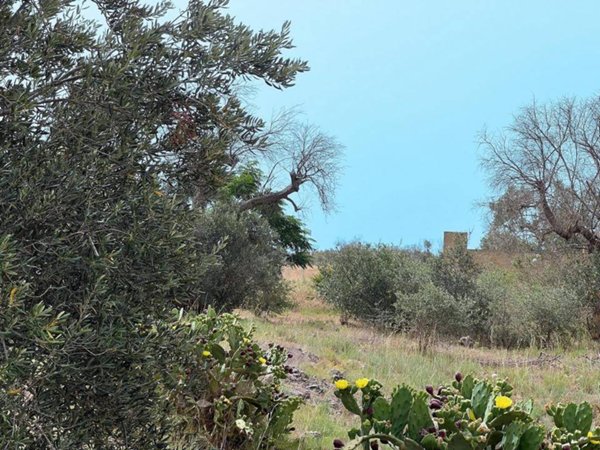 casa indipendente in vendita a Matino