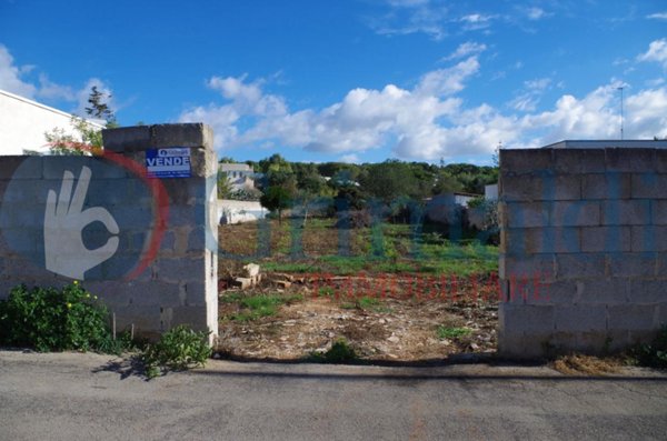 terreno agricolo in vendita a Matino