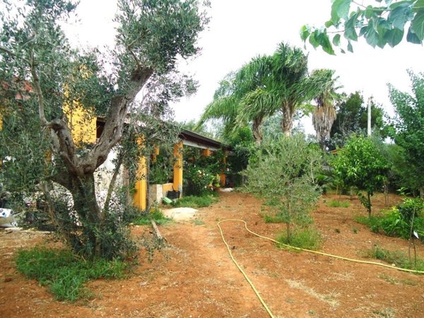 casa indipendente in vendita a Matino