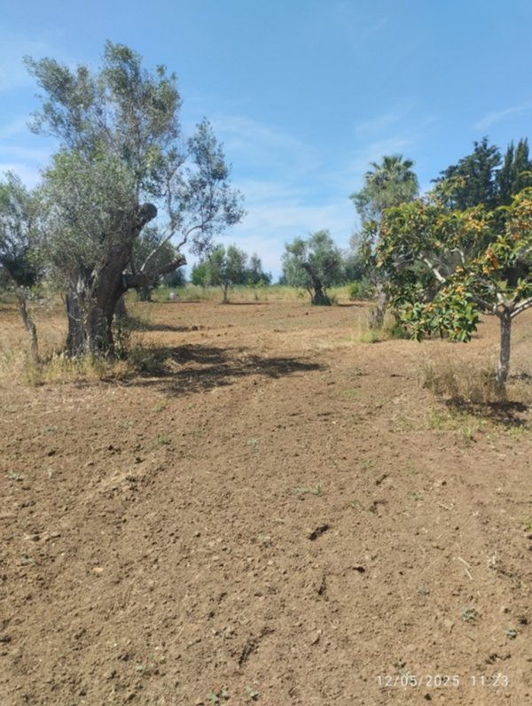 rudere in vendita a Matino