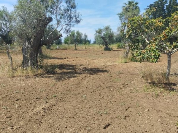 casa indipendente in vendita a Matino