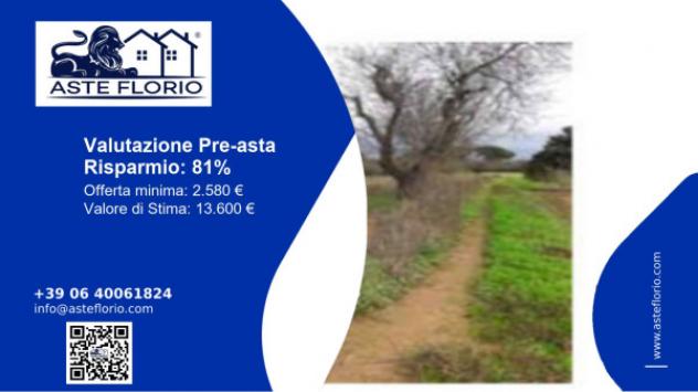 terreno agricolo in vendita a Matino