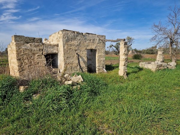 appartamento in vendita a Matino