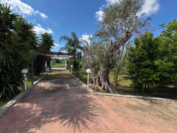 casa indipendente in vendita a Matino