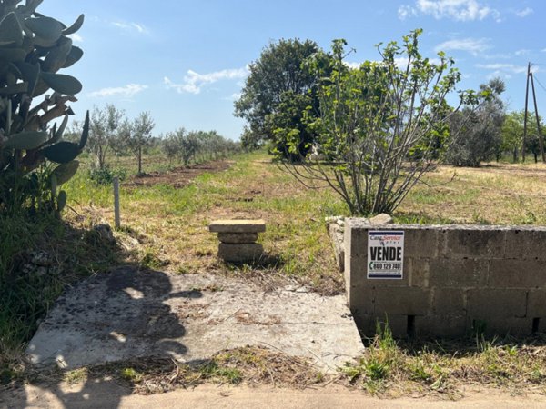 rudere in vendita a Matino