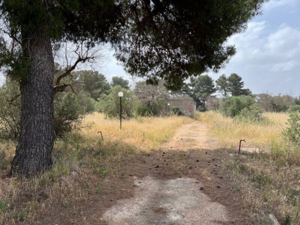 casa indipendente in vendita a Matino in zona Bosco