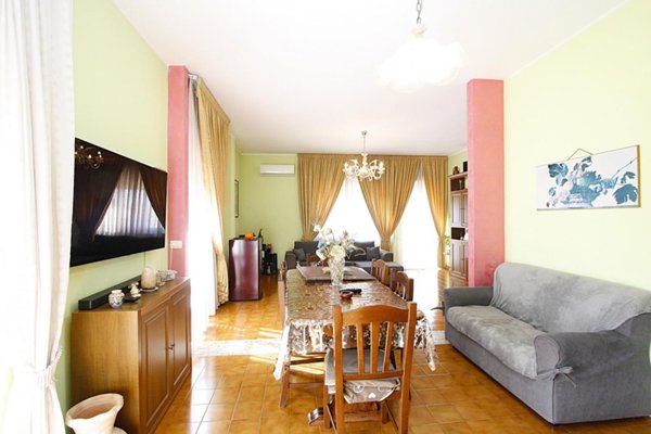 immagine annuncio 0 di 15