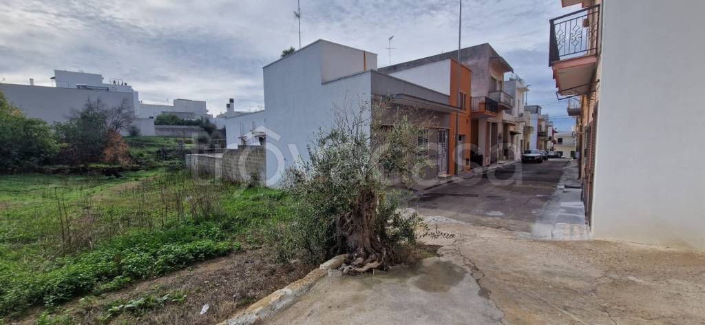 terreno agricolo in vendita a Matino