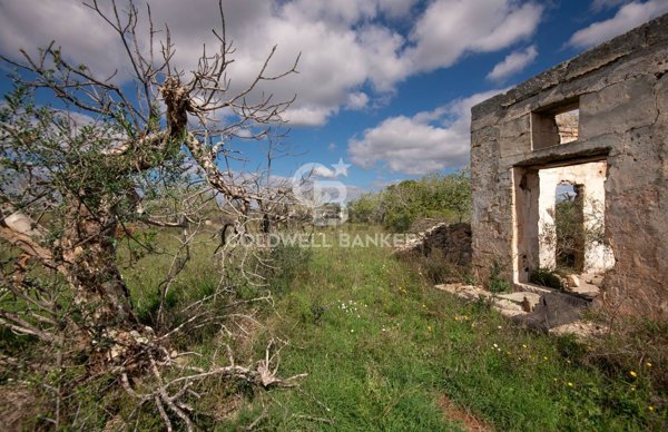 appartamento in vendita a Matino
