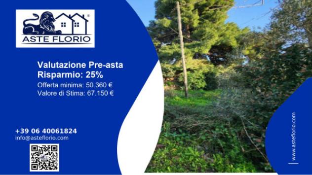 terreno agricolo in vendita a Matino