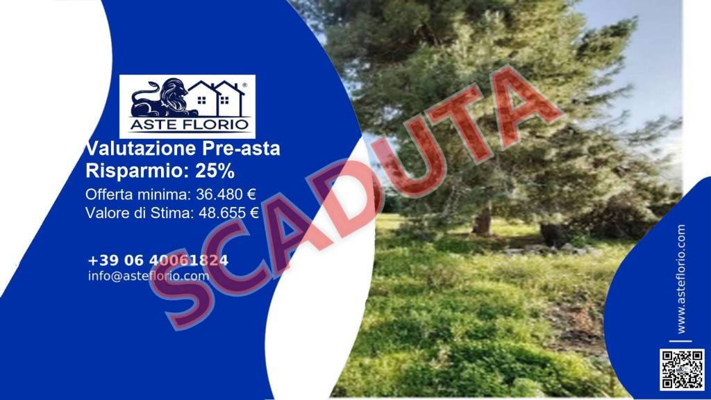 terreno agricolo in vendita a Matino